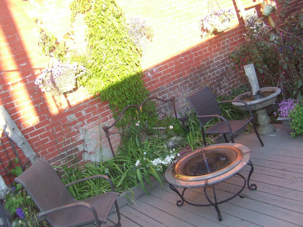 Country Encounters Accommodations Coleman Exterior foto